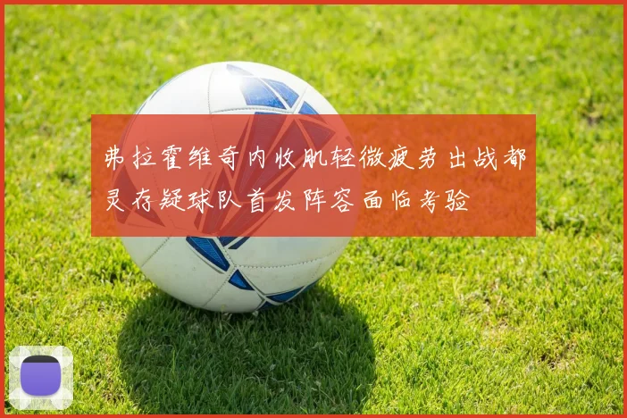 弗拉霍维奇内收肌轻微疲劳出战都灵存疑球队首发阵容面临考验