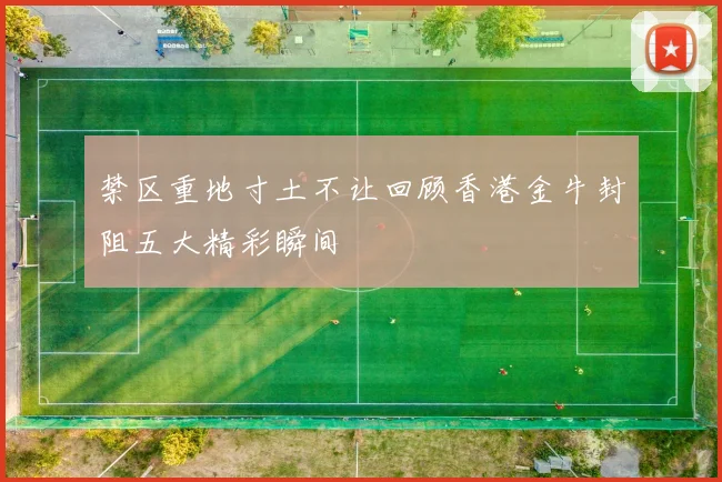 禁区重地寸土不让回顾香港金牛封阻五大精彩瞬间