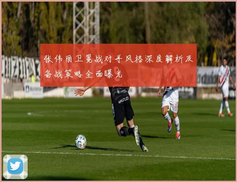 张伟丽卫冕战对手风格深度解析及备战策略全面曝光