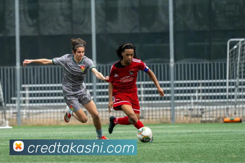 多彩内容专区